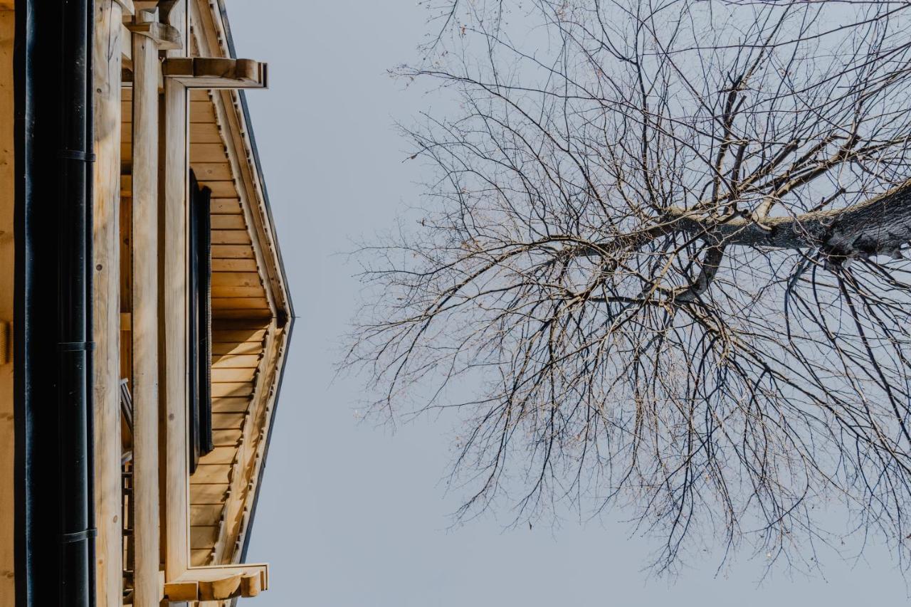 Biolo I Corno Izba Mountain Chalets 코스실리스코 외부 사진